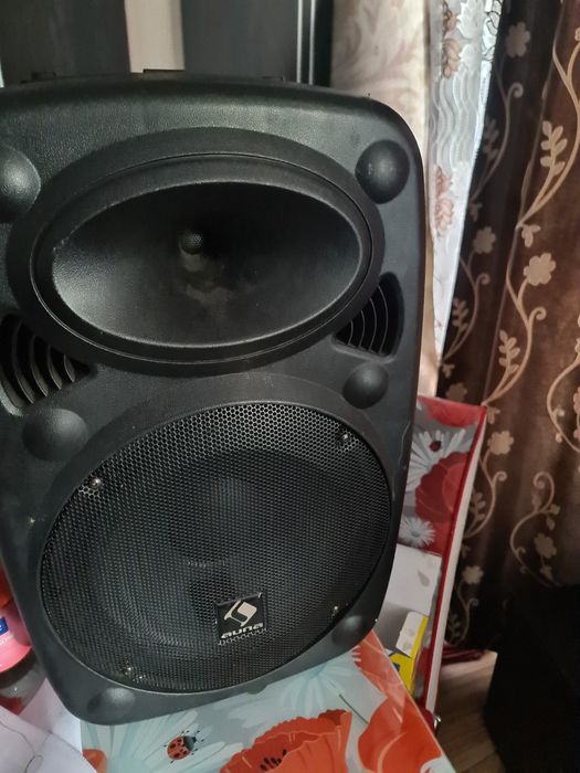 Boxa portabila auna Germany