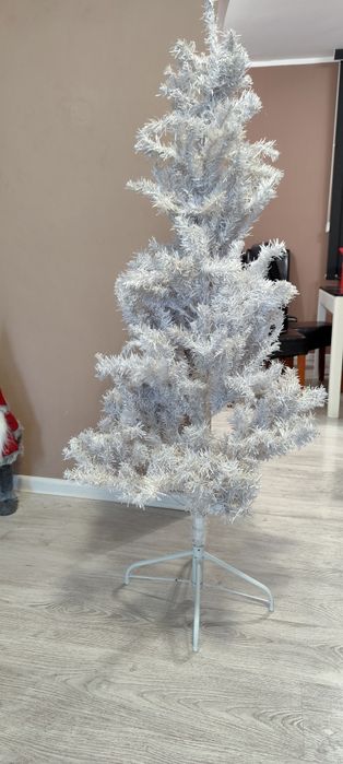 Бяла коледна елха