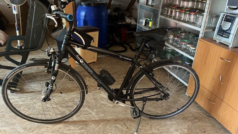 Vand bicicleta Pegasus