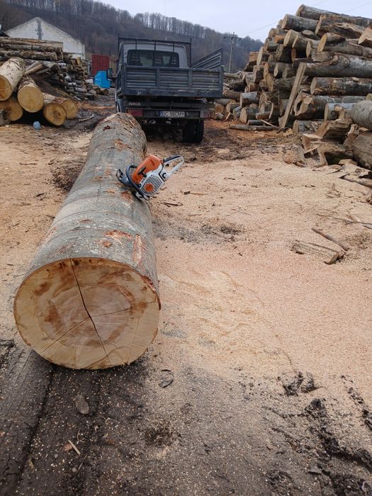 Vând lemne pentru foc fag