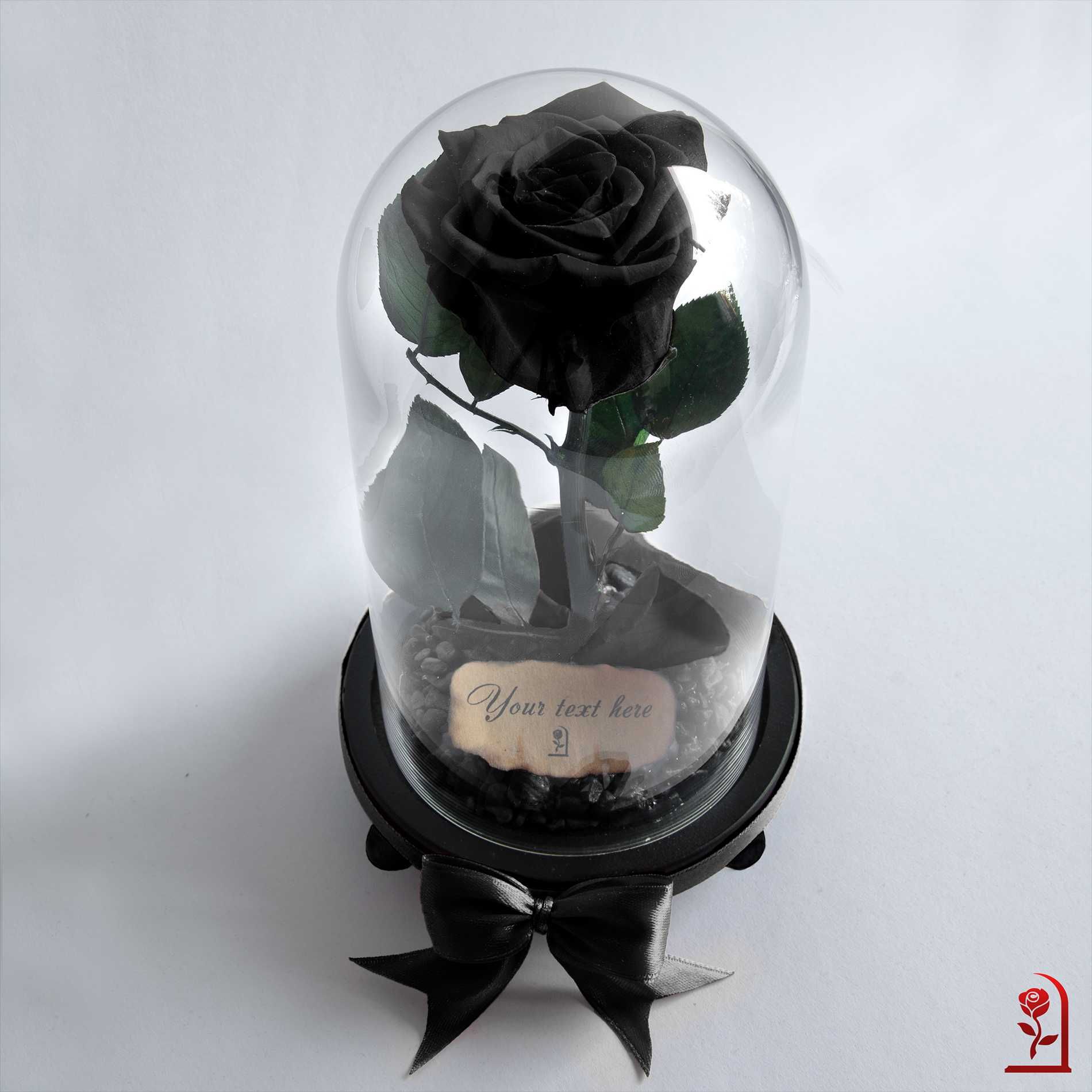 Бяла Вечна Роза в Стъкленица / Роза Подарък за Годишнина или Сватба