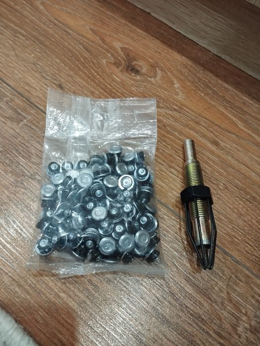 Дошиповник и шипы