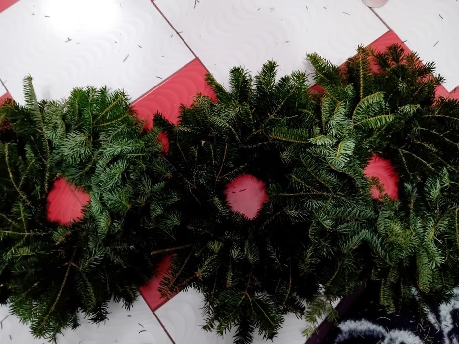 10 coronite brad natural