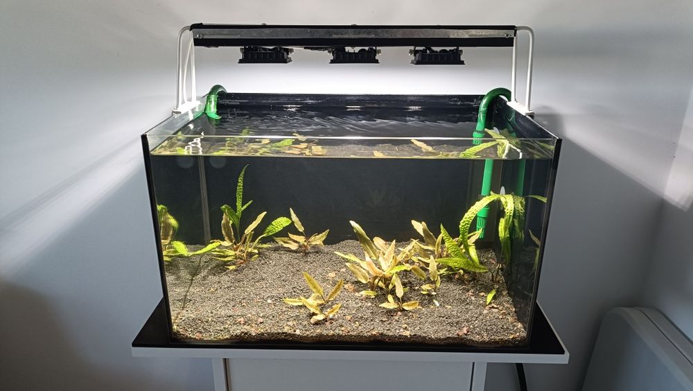 Vând acvariu de 45 L