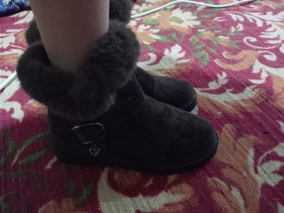 Паспорт пен болад