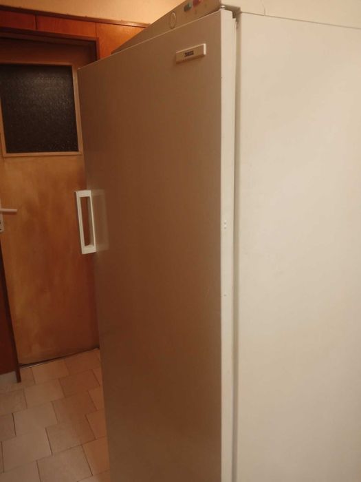 Продавам голям вертикален фризер Зануси