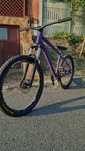 Rockrider 520 custom