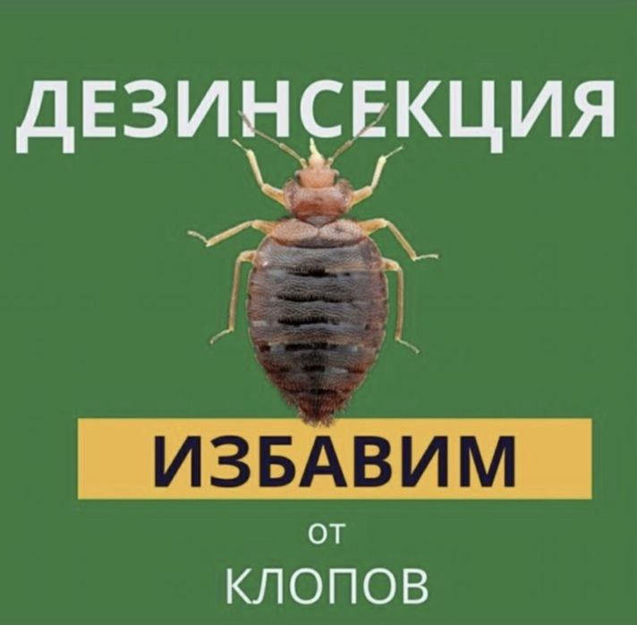 Дезинфекция Тараз Результат 100%