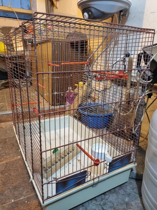 Клетка , кафез доста голям