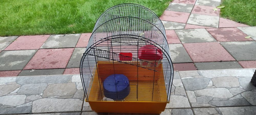 Transport curier 5lei Colivie/cușcă pasari/animale cu accesorii