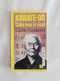 Karate - My way of life ("Calea mea in viata")