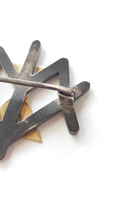 Insigna Regimentală " Batalionul 1 Vanatori de Munte "