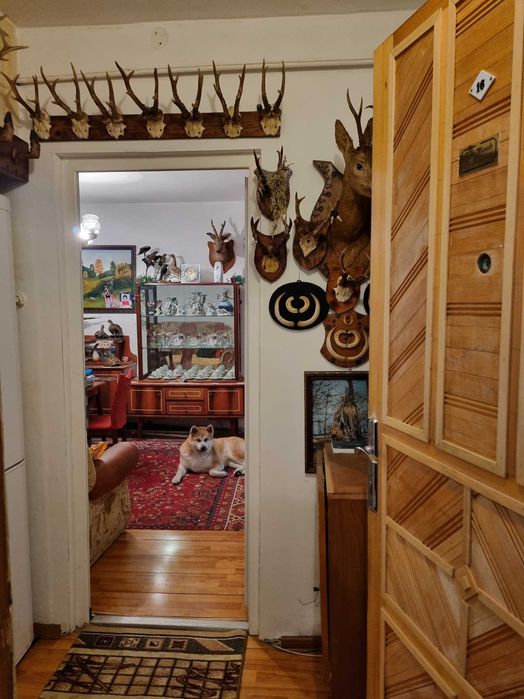 Apartament de vanzare