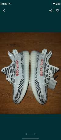 Adidas 350 Zebra