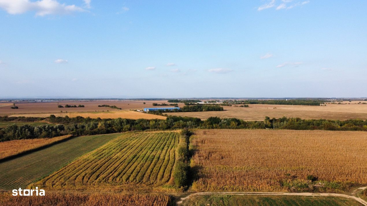 Teren rezidential retras langa lac SNAGOV in Silistea Snagovului, DN1,