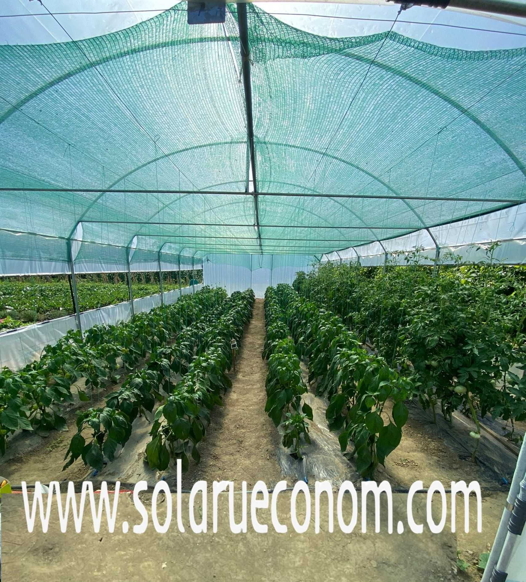 Solarii (sere) cu plata in rate si cu card de cumparaturi