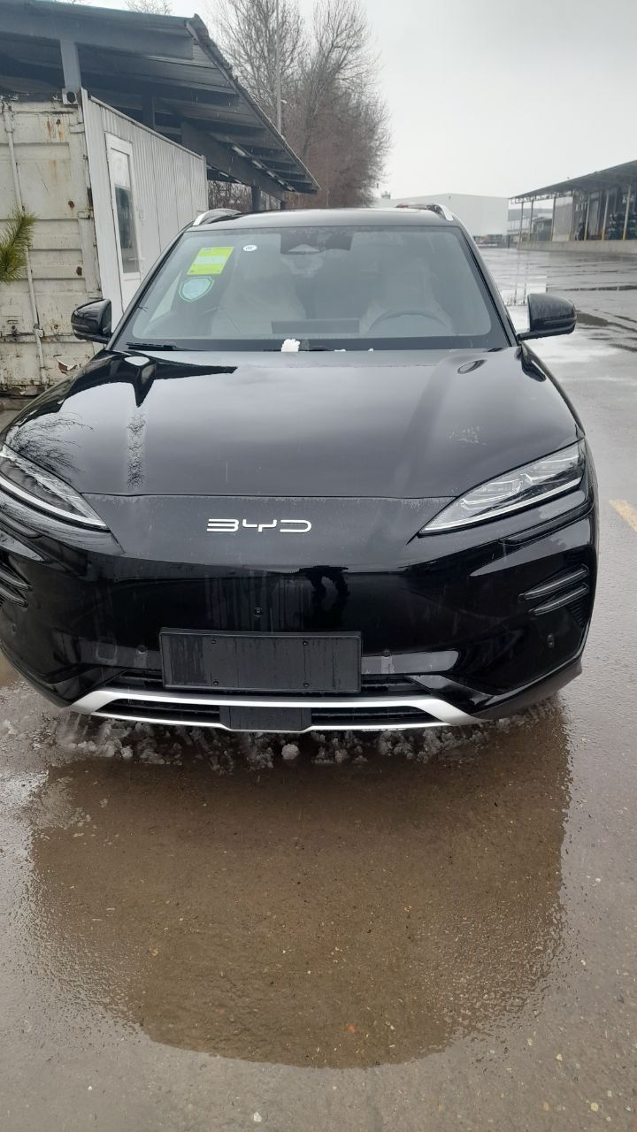 Byd champion  smart 2025/2025 нотариус