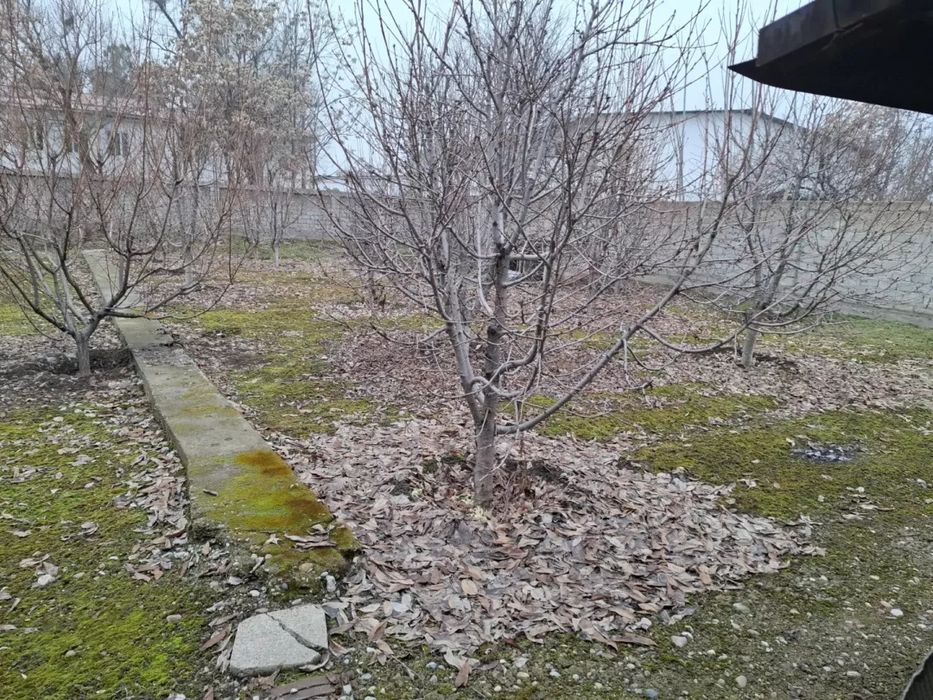 Продается участок с жилым домом