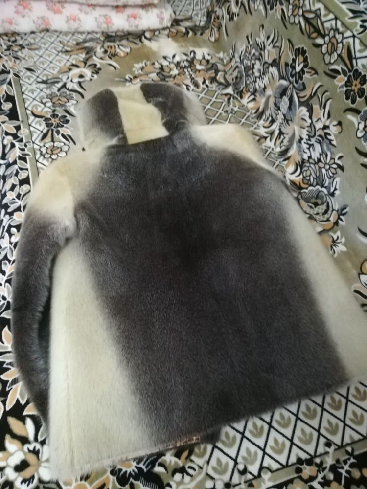 Продам женскую шубку из нерпы! 48/50