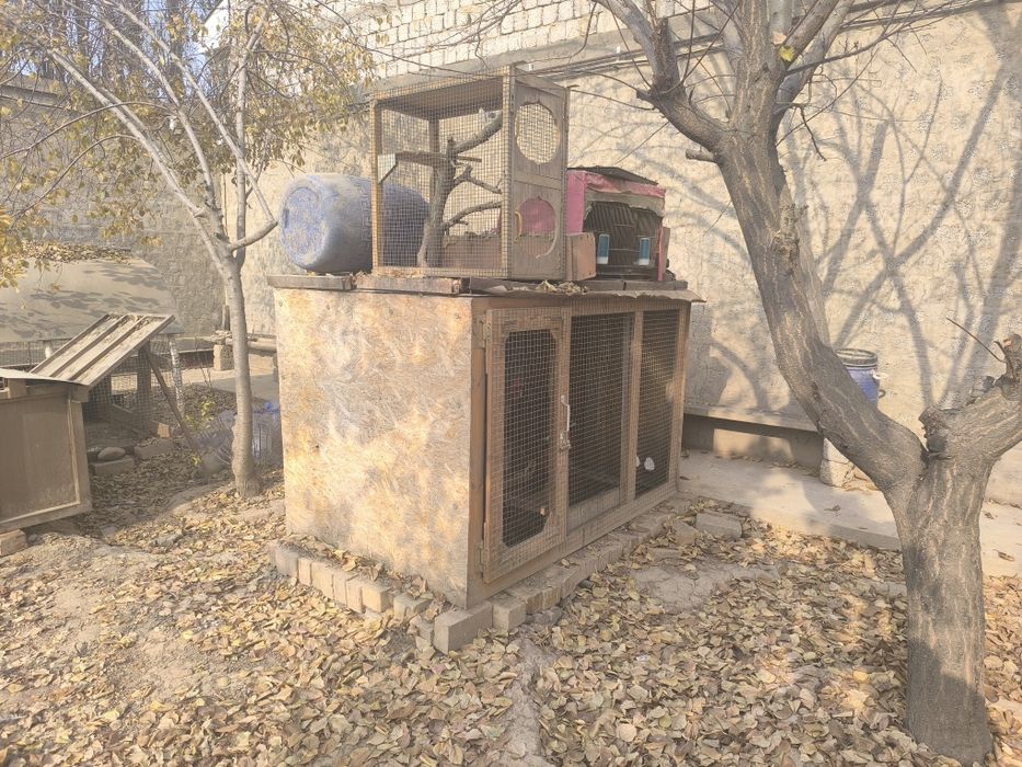 Товуқ хона сотилади 2×1×1,  10 та товуқга мўлжалланган