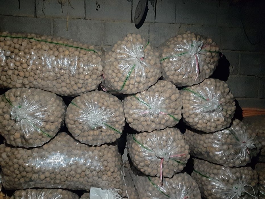 Жангак орех грецкий