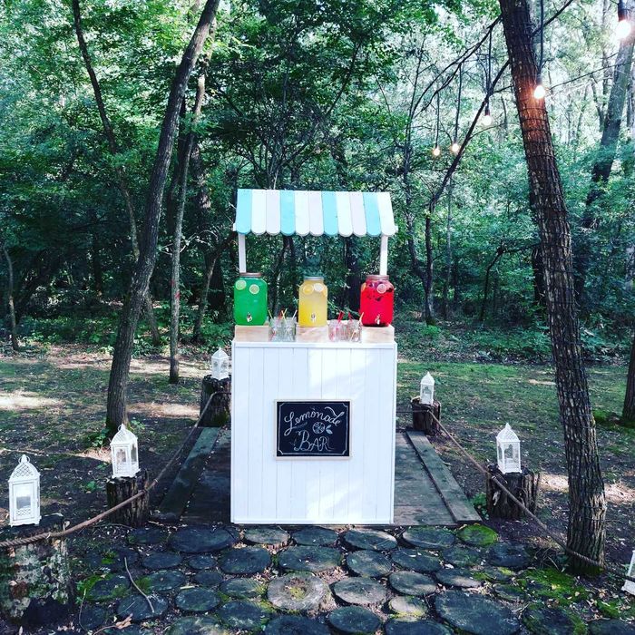 Lemonade bar de la 950 lei