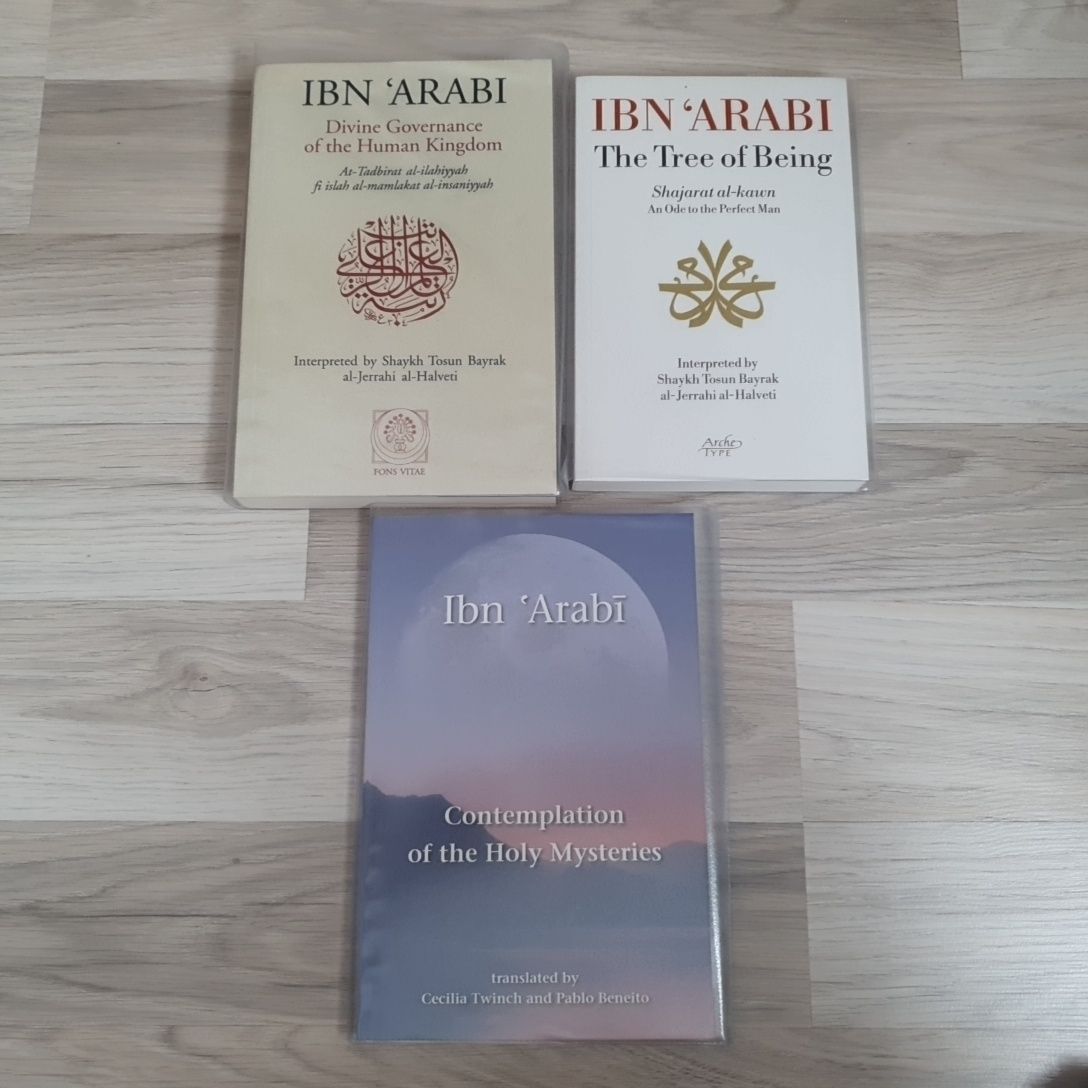 3 carti Sufi Ibn Arabi engleza noi
