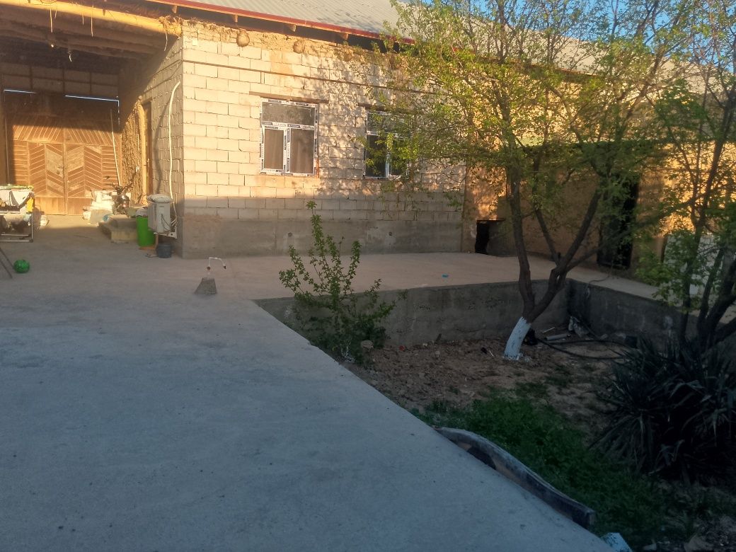 Эски Шахар Аргун МФЙ шукрона кучаси