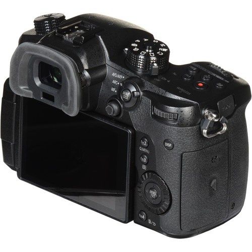 Panasonik Lumix GH5