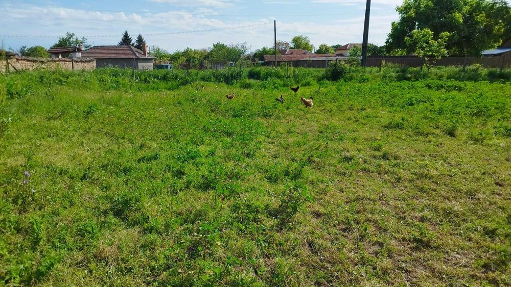 Продава се Парцел в Брезово - 2000 кв.м за 4 €/кв.м - Снимка #2