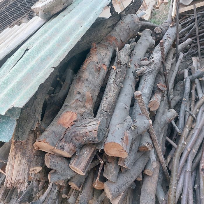 Дрова 5-6кубов 500т