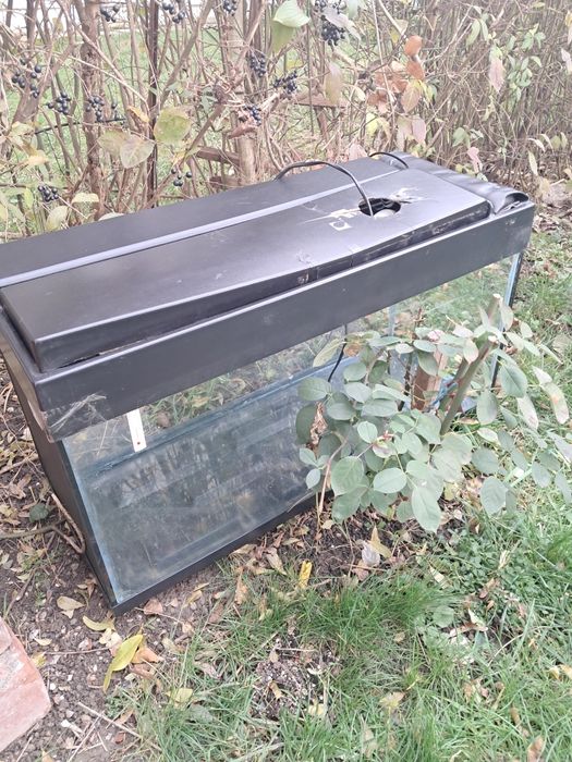 Acvariu de 100 de litri