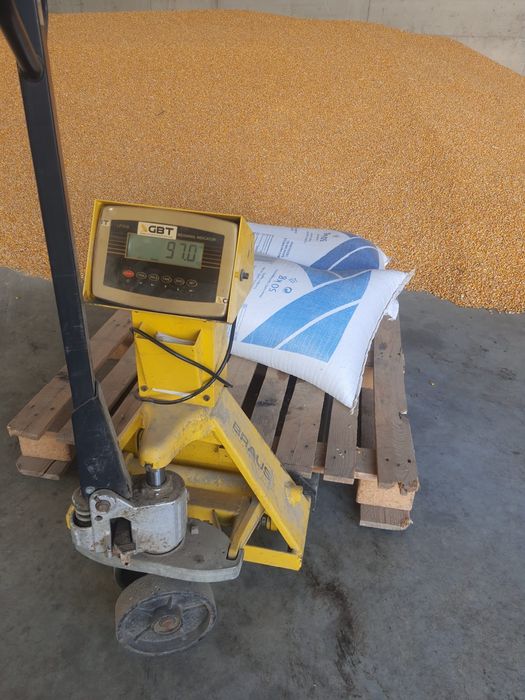 Vând porumb 2025 (Grâu, orz, orzoaica)