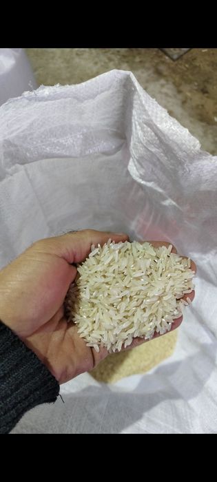Рис лазер для плова