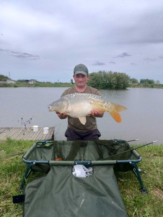 Vand boilies de calitate.