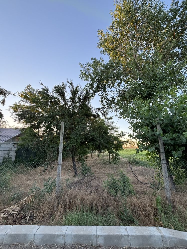 Teren 500 mp Moşneni
