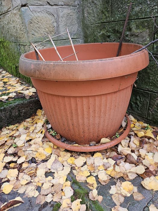 Голяма саксия за градината