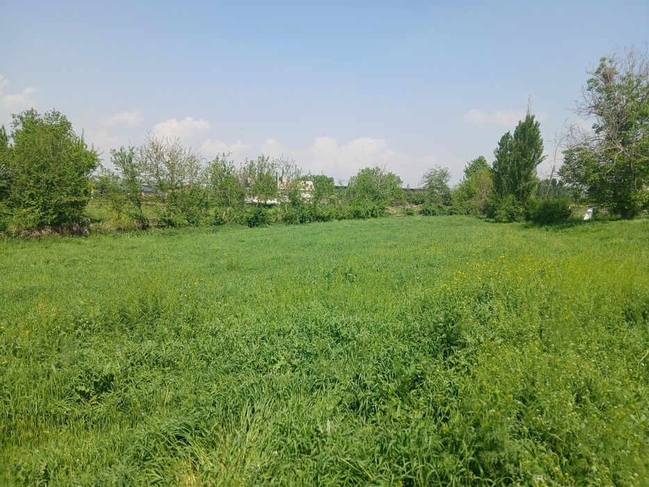 Yer sotiladi srochna 3 sotik narsi 1800$ dan sotigi