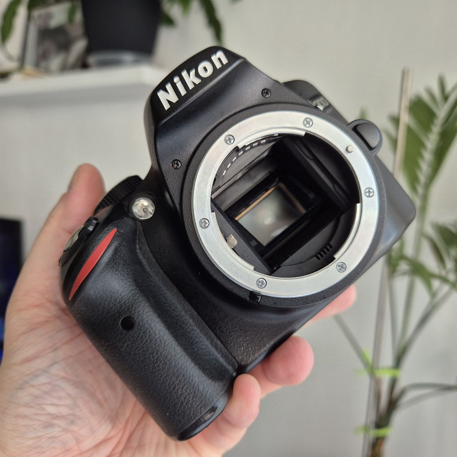 Nikon D3200 + Sigma DC 17-50mm 2.8 EX HSM
