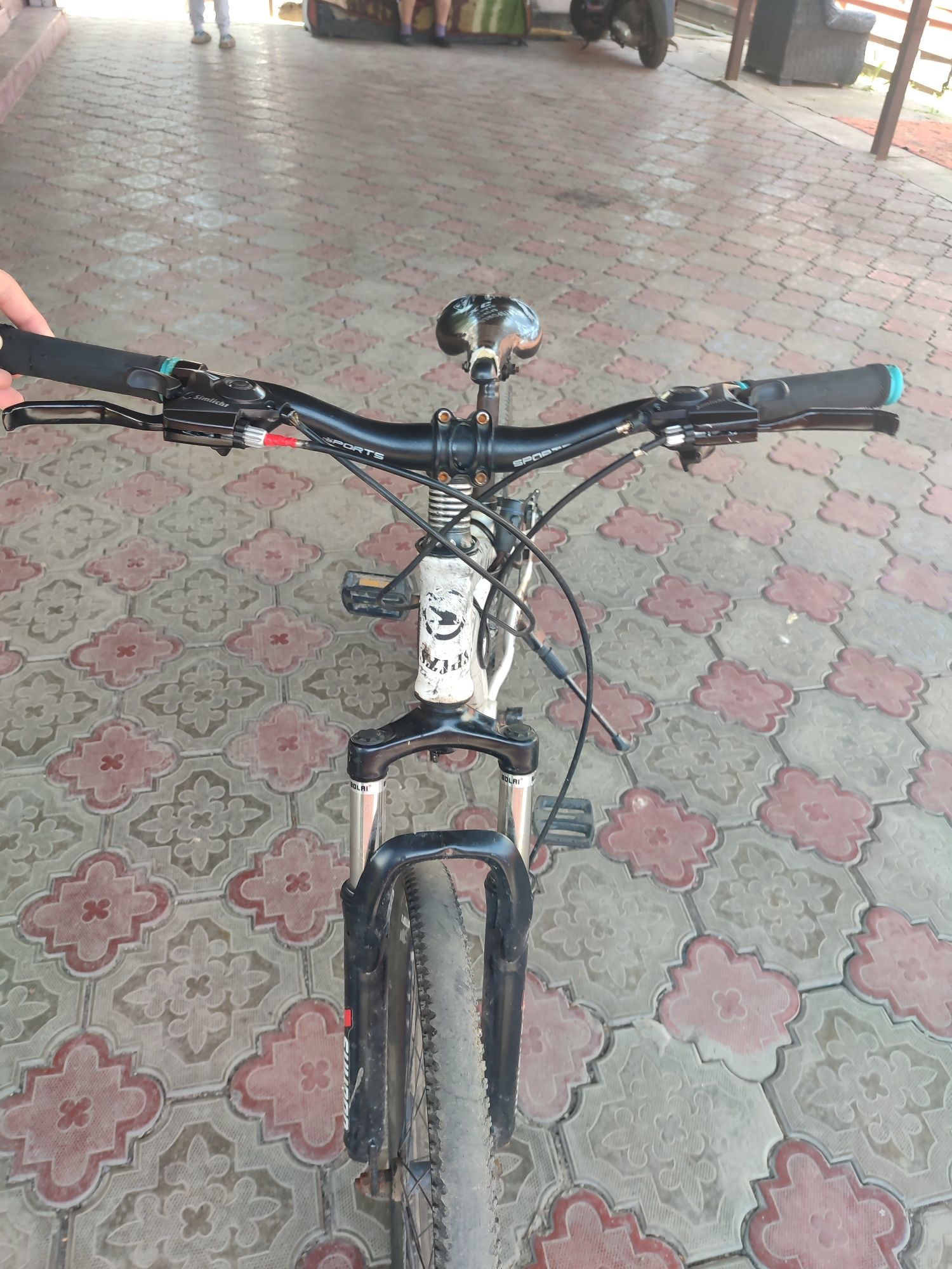 Велосипед Мошный