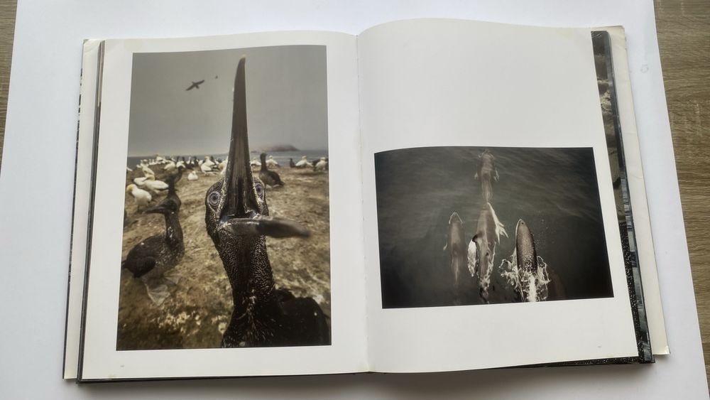 Carte WILD LAND cu natura spectaculoasa