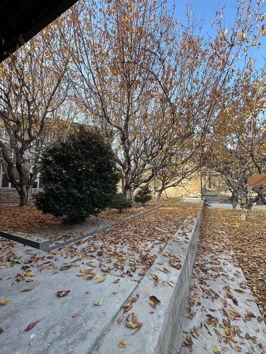 Шамшот 2 метр самавызов