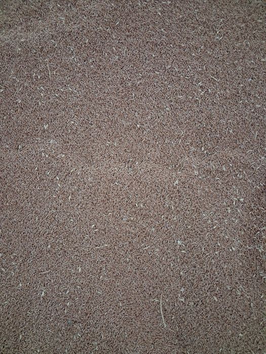 Grâu de vanzare 2025