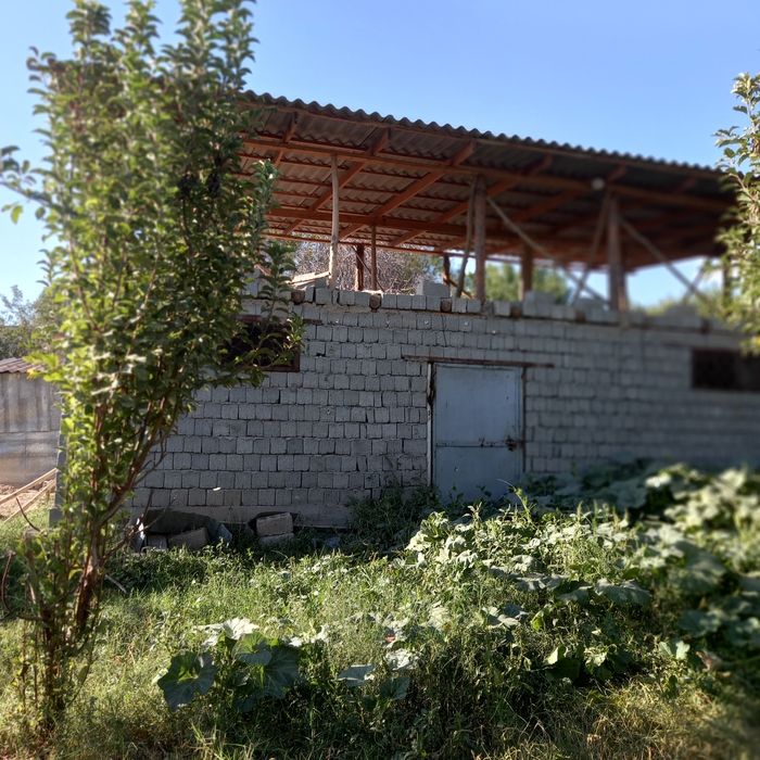 Участок: дом, коровник, мини ферма,