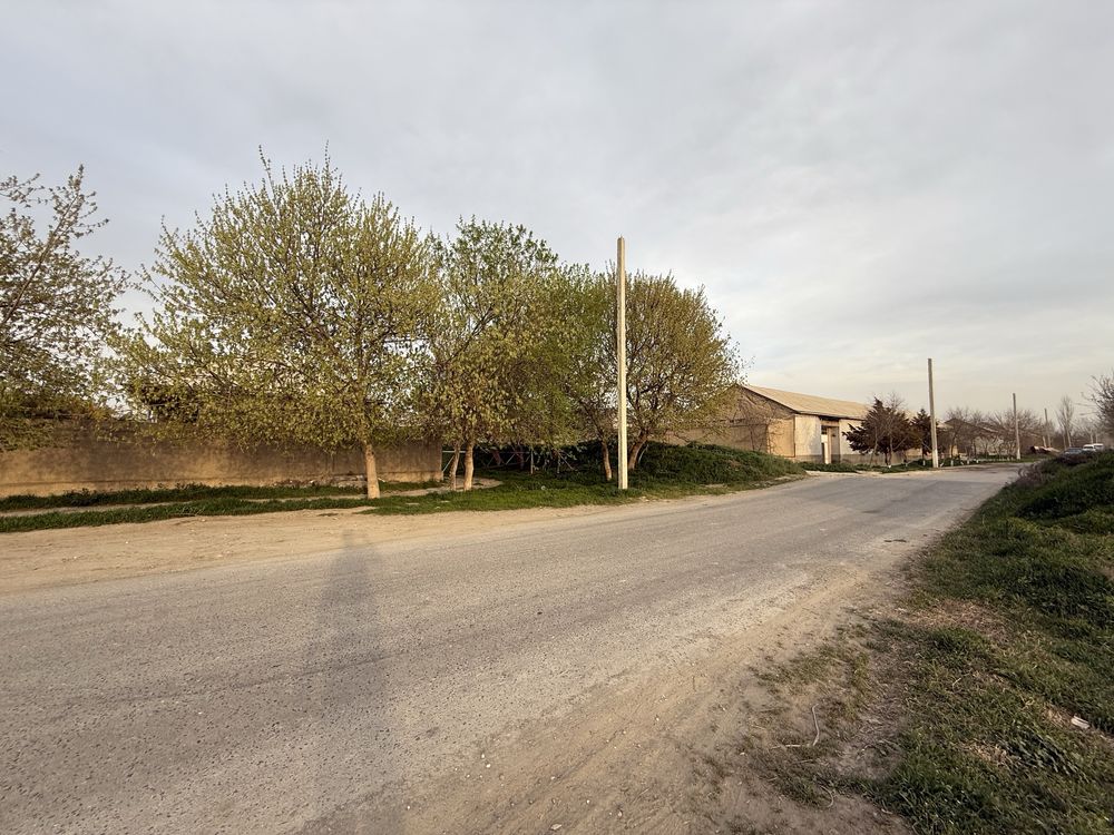 molxona ijaraga beriladi