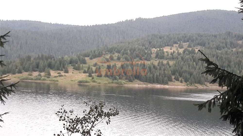 Teren de vanzare 29.131m² lac Belis, la Paraul Butoaie, Giurcuta
