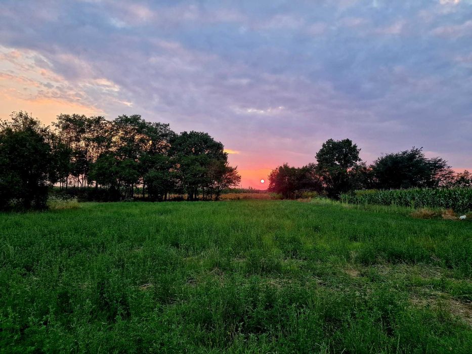 Teren intravilan 1715 mp la 15 min de Pitesti cu acces dinspre A1