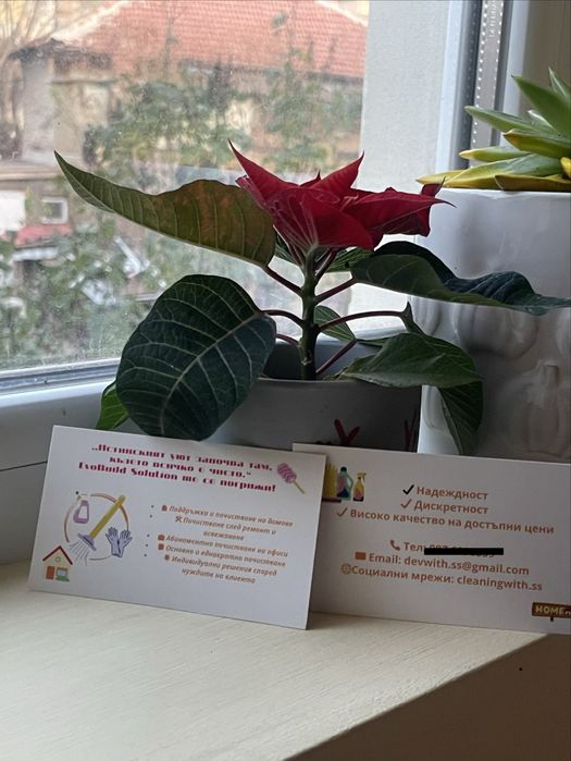 Изработка на дизайни по избор