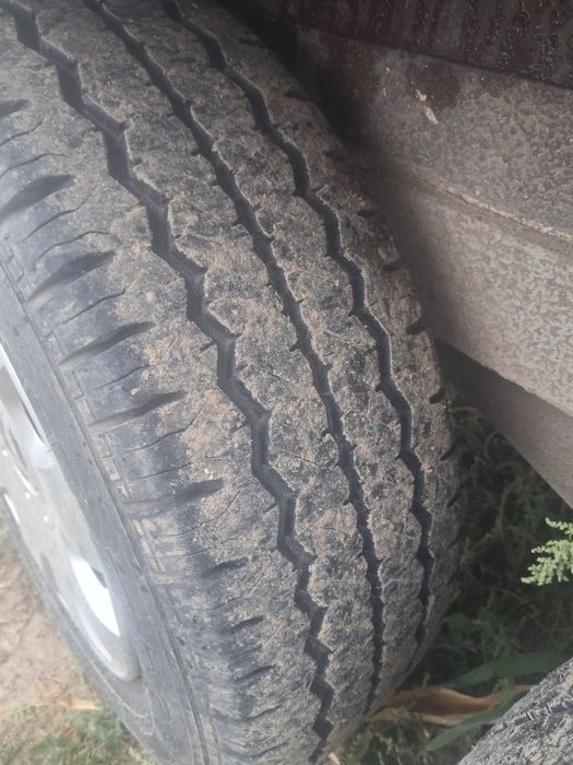 Vand remorca de cai modelul xxl