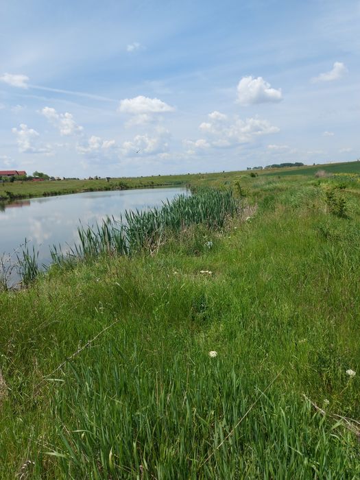 Teren,în spate la Peugeot,DN65,vecin cu LACUL,zonă de recreere.
